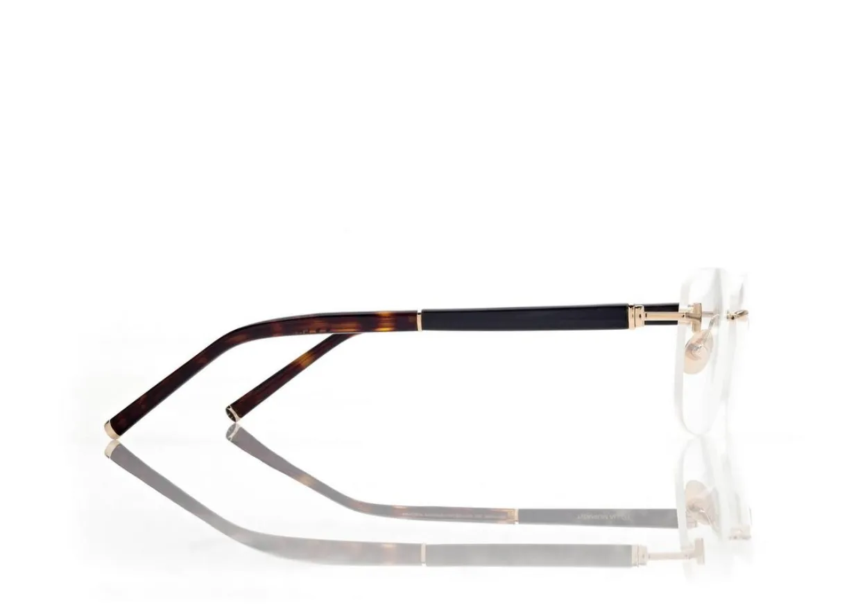 HORN AND TITANIUM RECTANGULAR OPTICALS