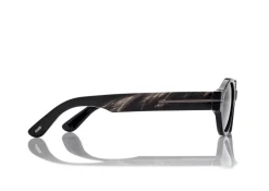 OVAL HORN SUNGLASSES