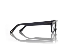 RECTANGULAR HORN OPTICALS