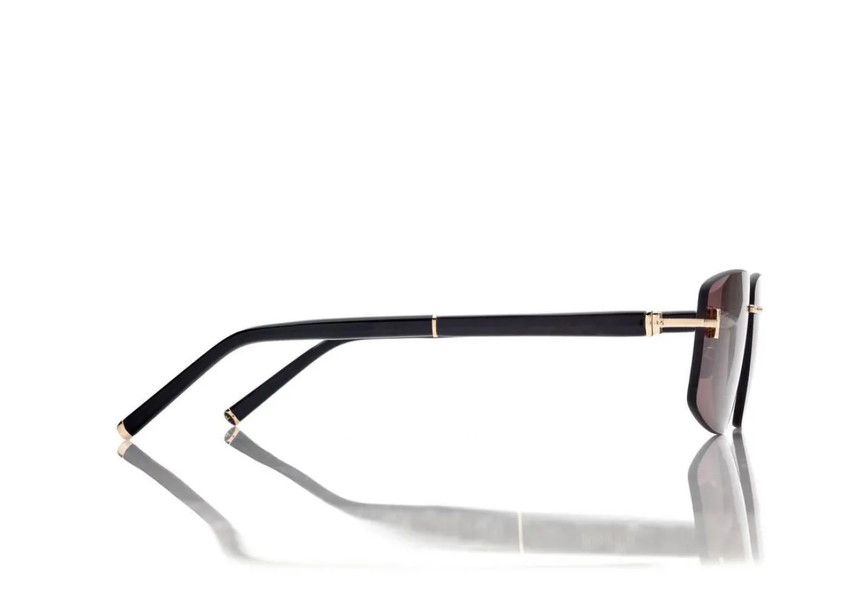 SQUARE TITANIUM AND HORN SUNGLASSES