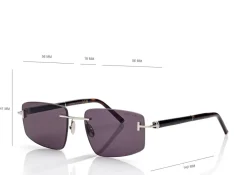 SQUARE TITANIUM AND HORN SUNGLASSES